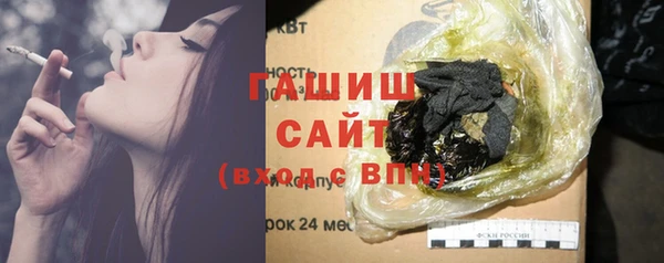 мдпв Каменка