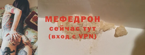 мдпв Каменка