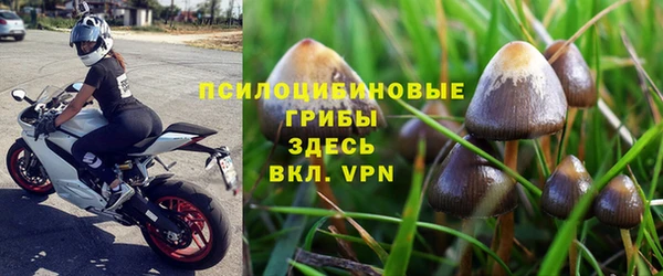 гидропоника Каменногорск