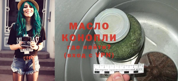 мдпв Каменка
