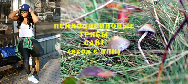 ALPHA PVP Инсар