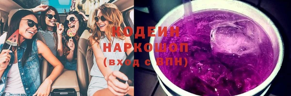 мдпв Каменка