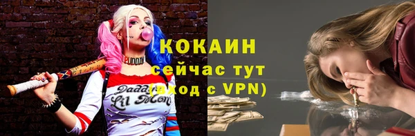 гидропоника Каменногорск