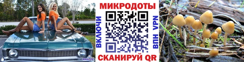 Псилоцибиновые грибы Cubensis  Купить  Кудымкар 